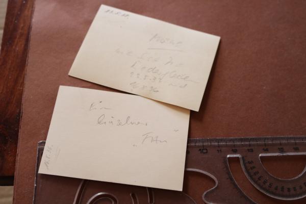 zwei alte Fotos - Möwe auf Fahnenmast - Hakenkreuzfahne